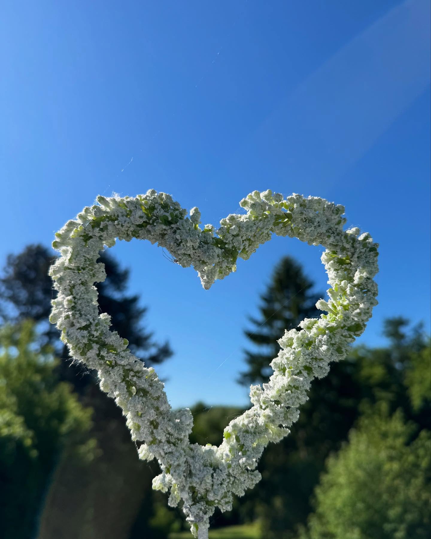 We wish all mums a happy Mother's Day. You do great things every day - take this as an opportunity to do something good for yourself or your mum. Your satisfaction and well-being are our focus! 🤍💐1TP5Mothers' Day 1TP5Plastic surgery #hank you mum #ime out 1TP5Beauty #hankfulness #hankfulness 1TP5Love #bochum #montanari #beauty #selfcare #glow #gutfuehlen
